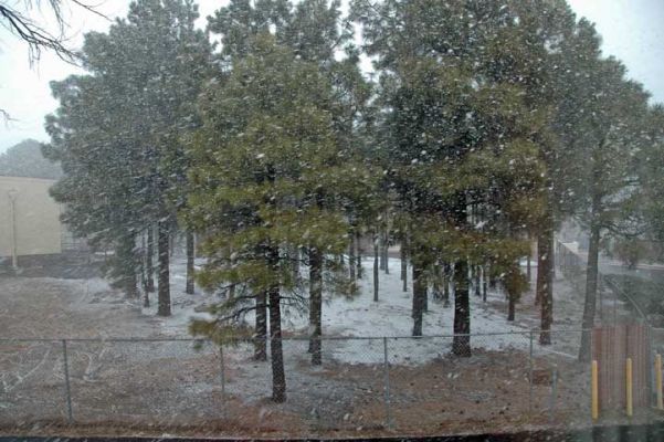 Schnee in Flagstaff
