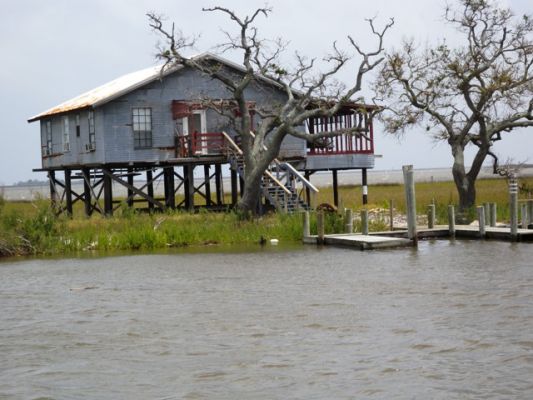 Mississippi-Delta
