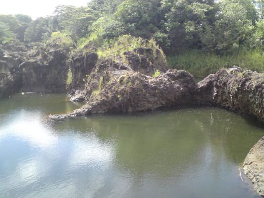 Rainbow Falls Hilo
