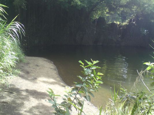 Rainbow Falls Hilo
