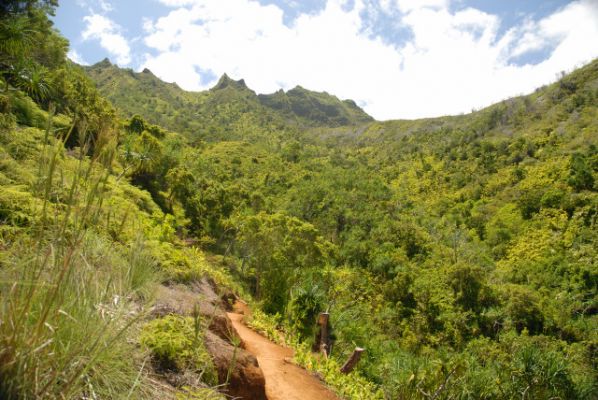 Kalalau Trail vom Ke'e Beach bis zum Hanakapi'ai Beach
