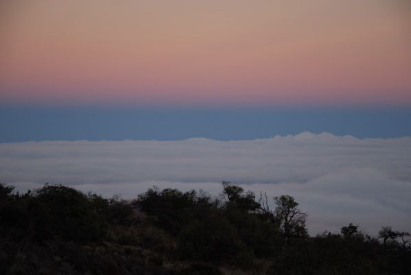 Mauna Kea
