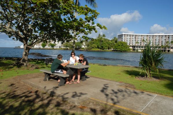 Coconut Island
