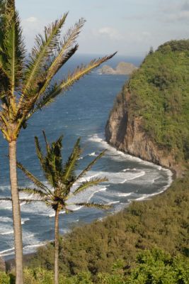 Pololu Beach
