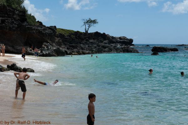 Waimea Bay Beach Park
