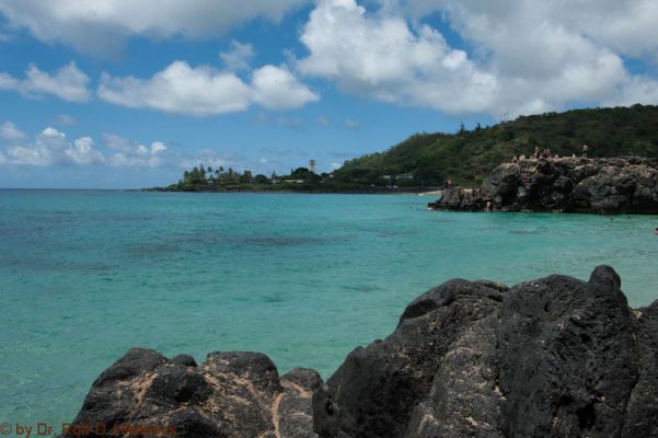 Waimea Bay Beach Park
