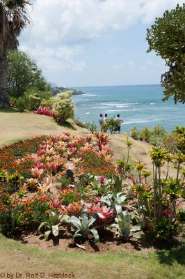 Diamond Head Road
