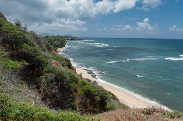 Diamond Head Road 
