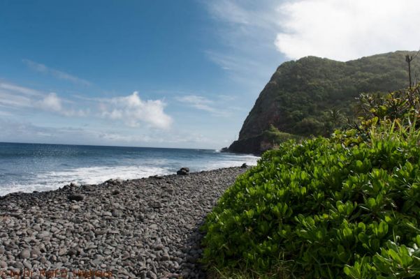 Pi'ilani Highway
