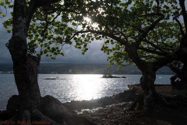 Coconut Island, Hilo
