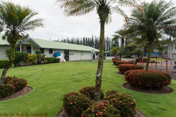 Mauna Loa Macadamia Nut Plantation 
