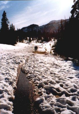 verschneite Zufahrtsstraße zum Peyto Lake
Schlüsselwörter: Schnee, Peyto Lake, Banff, Alberta, Kanada