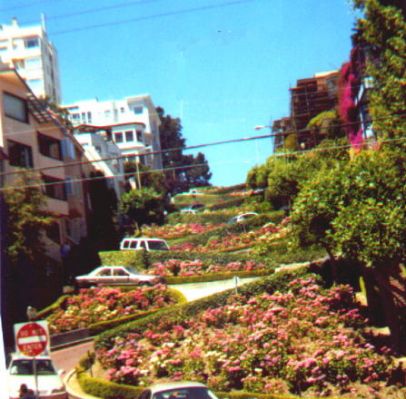 Lombard Street
Schlüsselwörter: Lombard Street, San Francisco, Kalifornien, USA