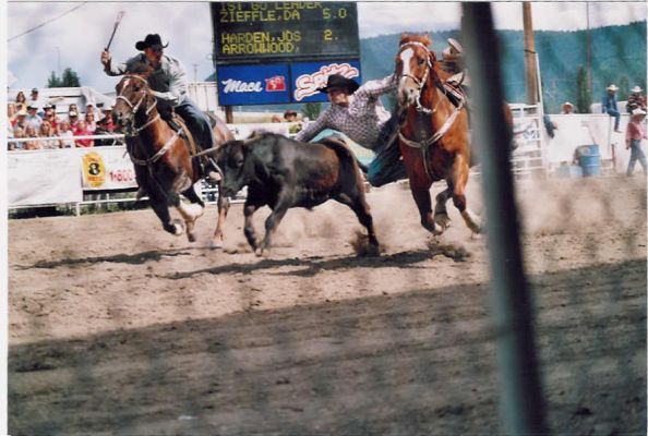 Steer Wrestling.jpg