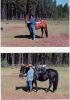 my horse and me-2.jpg