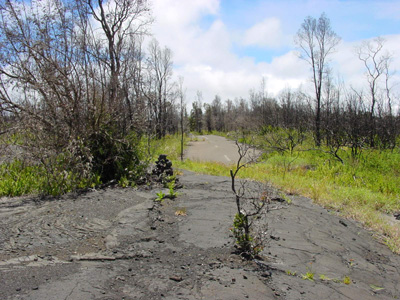 abwechselnd Lava und alte Chain of Craters Road
