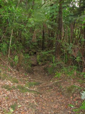 Kahaualea Trail
