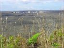 Big Island: Crater Rim Trail