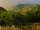 Dateiname : Gewitterstimmung über den West Maui Mountains.jpg
Dateigröße : 25KB
Abmessungen : 400x300
hinzugefügt am : 23.Februar 2005 Gewitterstimmung über den West Maui Mountains.jpg
