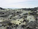 Big Island: Kilauea Iki - Byron Ledge - Halema'uma'u Trail