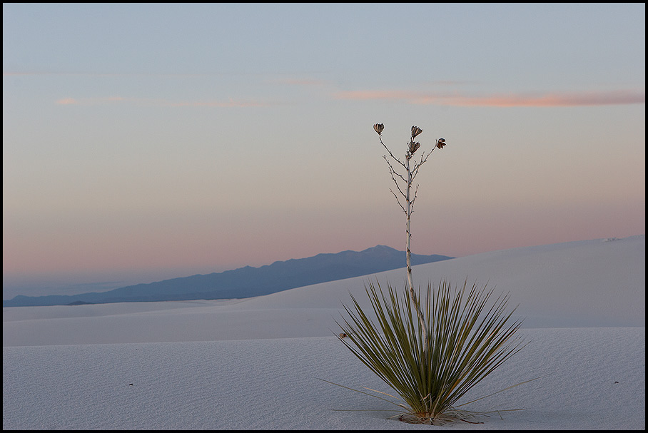 WhiteSands12.jpg