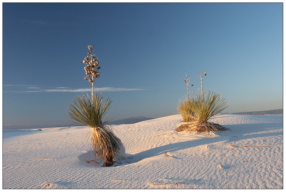 WhiteSands7.jpg