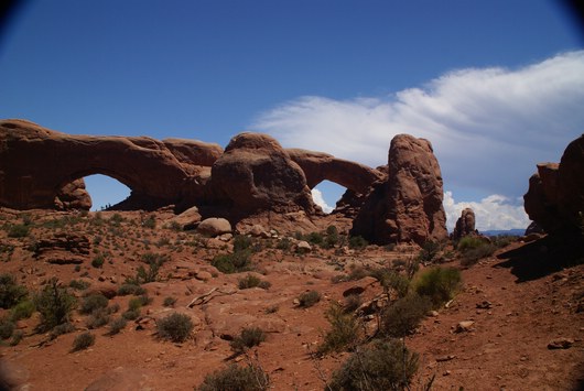 Arches North & South Window
