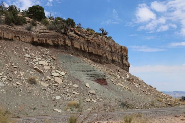 Colorado N.M.
