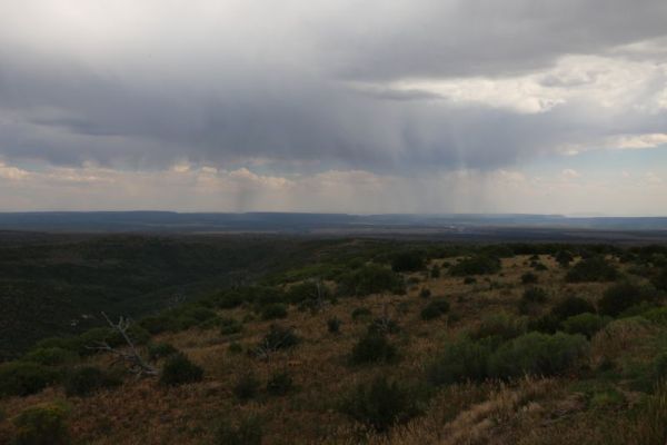 Mesa Verde
