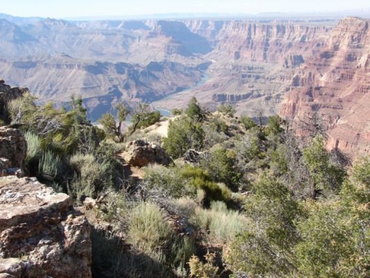 Grand Canyon N.P.
Im Grand Canyon Nationalpark
