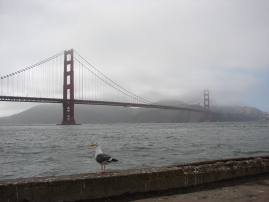 San Francisco
Die Golden Gate Bridge in San Francisco
