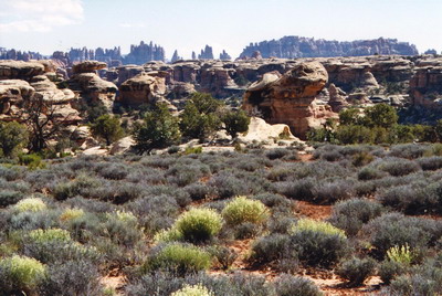 Canyonlands - Needles
