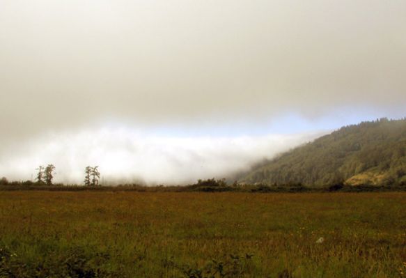 Oregon Küste_ Nebel schiebt sich vom Pazifik ins Festland

