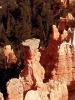 Bryce Canyon/UT_der Bischof