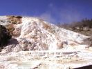 Yellowstone NP/WY_Mammoth Hot Springs