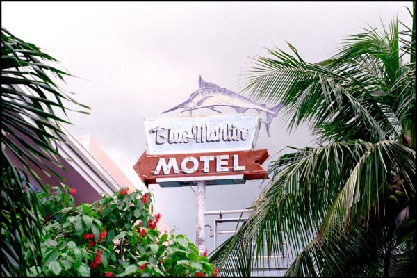 Blue Marlin
Schlüsselwörter: Florida, Keys, Key West, Motel, Schild