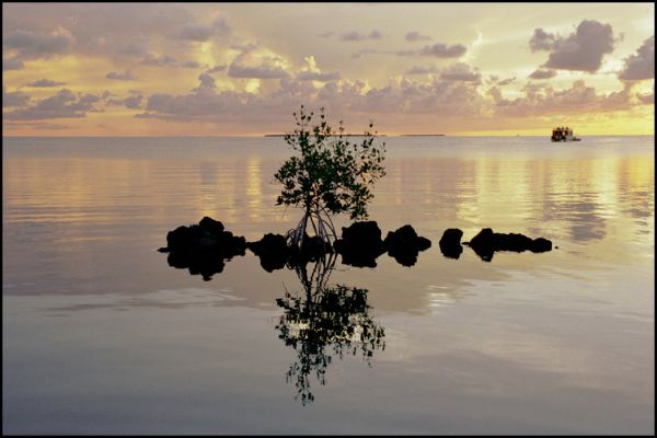 Sunset 3
Sonnenuntergang bei Isla Morada in den Florida Keys
Schlüsselwörter: Keys, Florida, Abend, Sonnenuntergang, Wasser