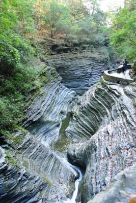 Finger Lakes
