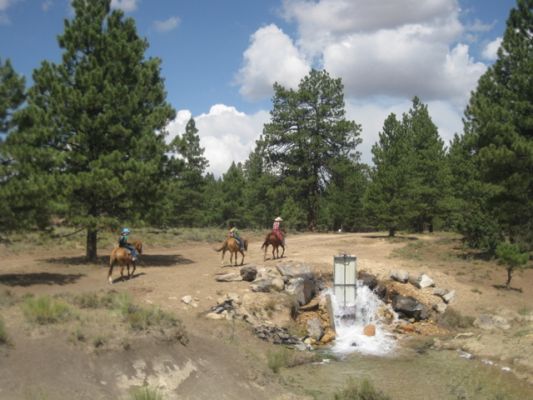 Bryce Canyon Horsebackriding
