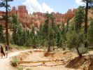 Bryce Canyon Navajo Loop Trail