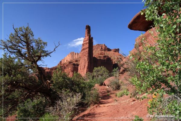 Fisher Towers
