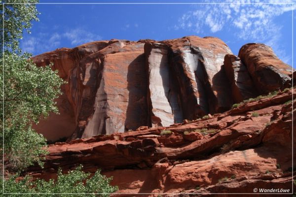 Im Coyote Gulch
