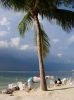 Palmen am Strand von Key Largo.JPG