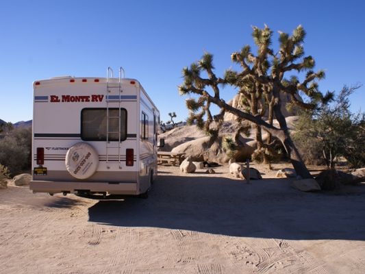 Joshua Tree NP
