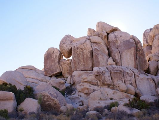 Joshua Tree NP
