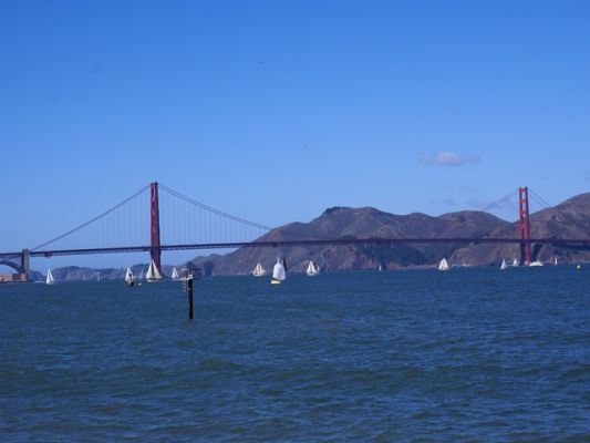 Regatta SF
