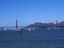 Regatta SF