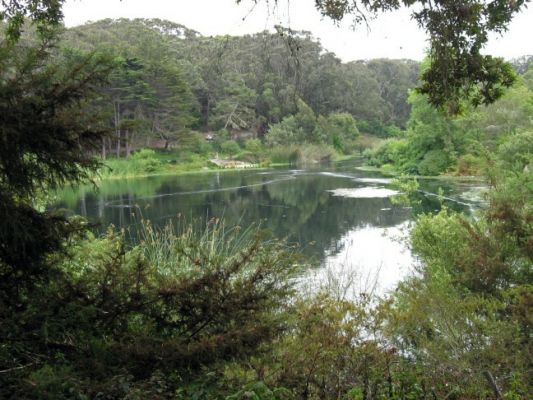 Golden Gate Park
