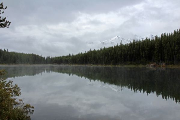 02 Herbert Lake
