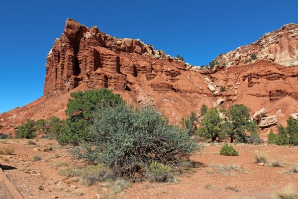 21 Capitol Reef
